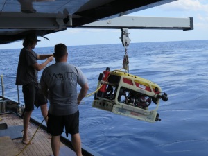 Deploying the Falcon ROV at Pulley Ridge mesophotic reef